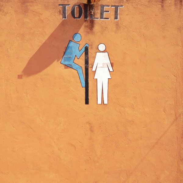 Come posso addestrare un cucciolo di razza Schnauzer Nano a comunicare la necessità di uscire per i suoi bisogni?