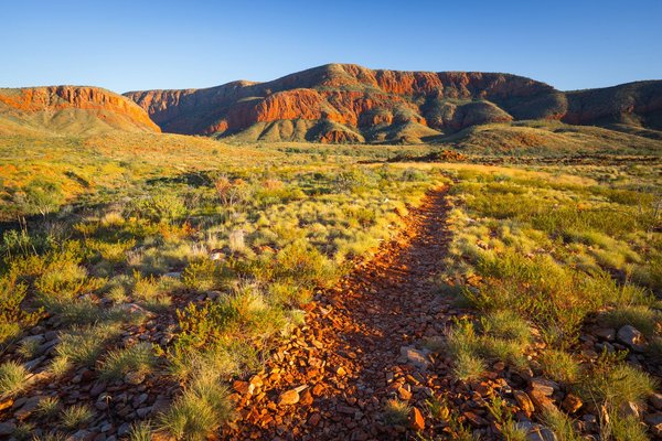 Quali sono i migliori percorsi di trekking per ammirare l'autunno nelle foreste degli Appennini?